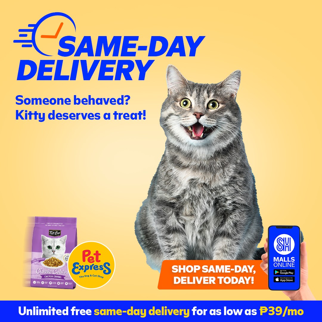 Treat Meowy Today: Shop Same-Day with SM Malls Online!